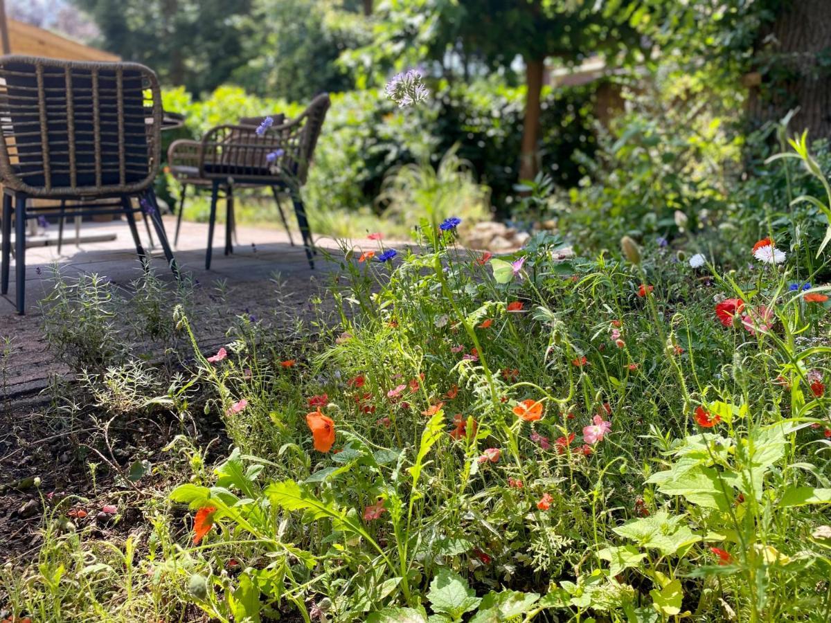 Aan De Bosrand - Veluwe Holiday home