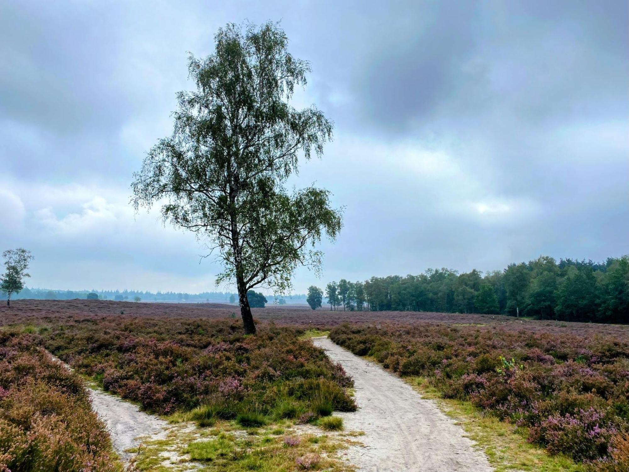 Holiday home Aan De Bosrand - Veluwe
