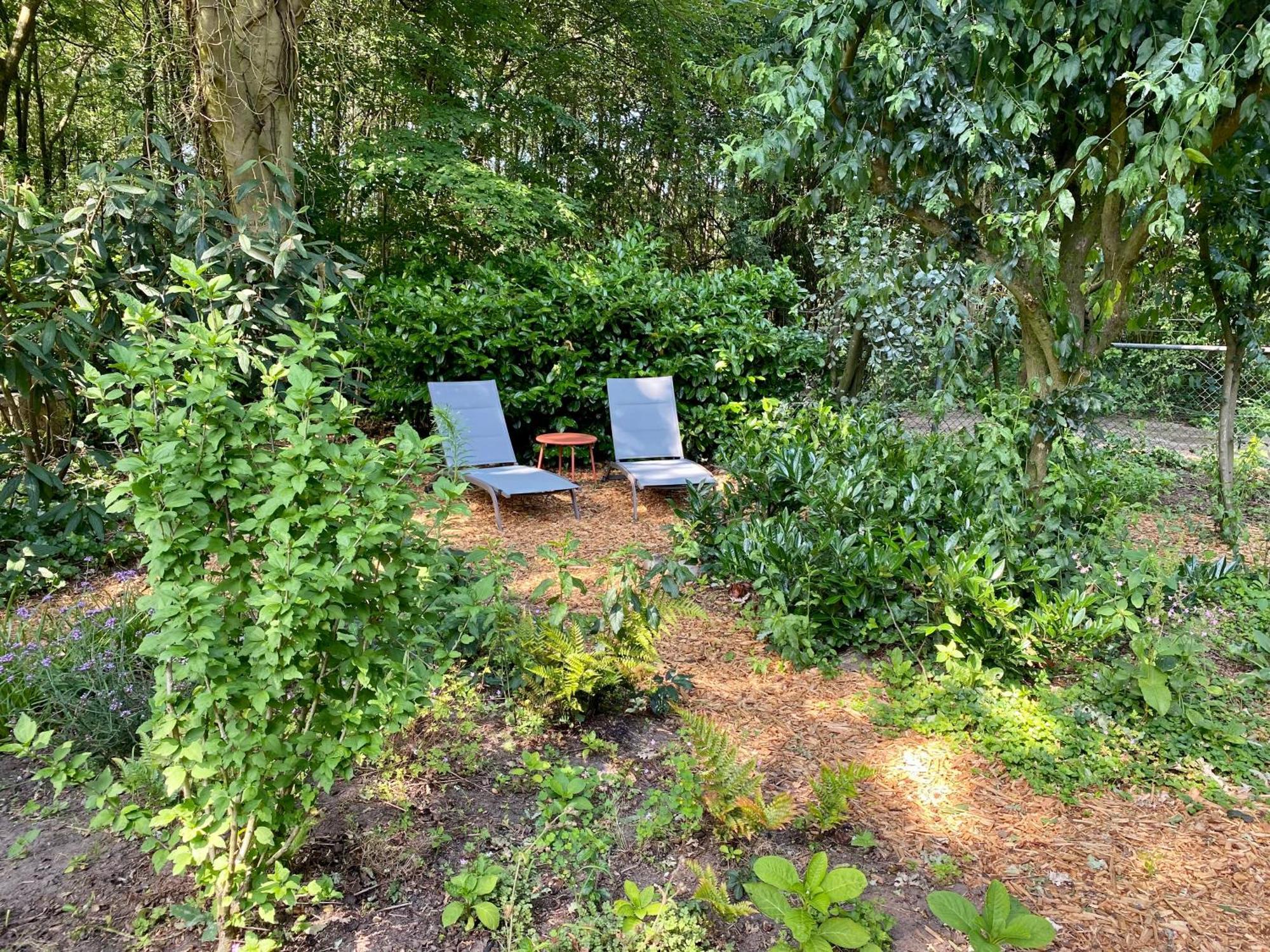 Holiday home Aan De Bosrand - Veluwe